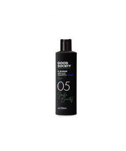 Artego Good Society 05 B_Blonde Ash Blue Shampoo 250ml
