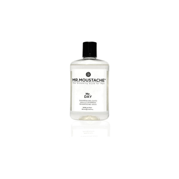 Mr. Moustache Mr. Day Shampoo 250 ml